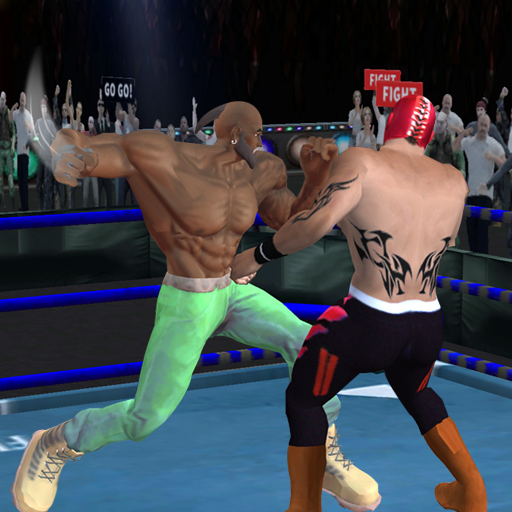 Boxing Fighter